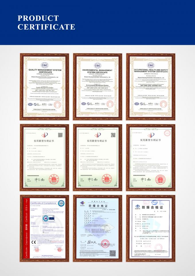 चिपचिपा और कम प्रवाहकीय मीडिया के मिश्रण अनुप्रयोगों के लिए NYDE फोर्क घनत्व मीटर 2